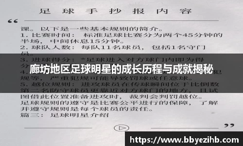 廊坊地区足球明星的成长历程与成就揭秘